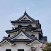 ヒメ日記 2026/04/21 09:30 投稿 佐々木雪乃 五十路マダムエクスプレス豊橋店（カサブランカグループ）