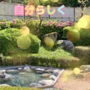 ヒメ日記 2026/05/07 10:36 投稿 佐々木雪乃 五十路マダムエクスプレス豊橋店（カサブランカグループ）