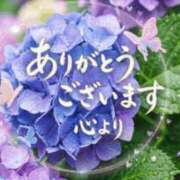 ヒメ日記 2026/05/13 11:36 投稿 佐々木雪乃 五十路マダムエクスプレス豊橋店（カサブランカグループ）