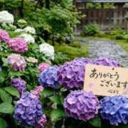 ヒメ日記 2026/05/13 16:20 投稿 佐々木雪乃 五十路マダムエクスプレス豊橋店（カサブランカグループ）