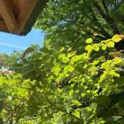 ヒメ日記 2026/05/15 00:12 投稿 佐々木雪乃 五十路マダムエクスプレス豊橋店（カサブランカグループ）