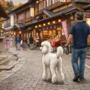 ヒメ日記 2026/10/01 19:40 投稿 佐々木雪乃 五十路マダムエクスプレス豊橋店（カサブランカグループ）