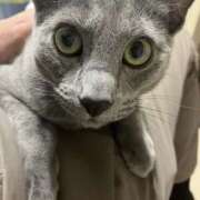 ヒメ日記 2026/03/15 13:20 投稿 みさ 2980円（にゃんきゅっぱ）