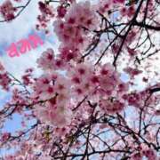 ヒメ日記 2026/03/15 00:14 投稿 純麗（すみれ） ビッグバード