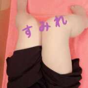 ヒメ日記 2026/03/19 16:54 投稿 純麗（すみれ） ビッグバード