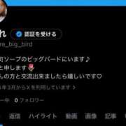 ヒメ日記 2026/04/18 07:54 投稿 純麗（すみれ） ビッグバード