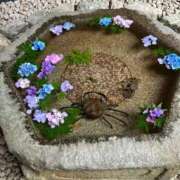 ヒメ日記 2026/07/09 11:04 投稿 純麗（すみれ） ビッグバード