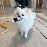 ヒメ日記 2026/03/22 17:13 投稿 オトハ 川崎美女革命