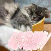 ヒメ日記 2026/03/05 01:32 投稿 みなこ 出会い系人妻ネットワーク さいたま～大宮編