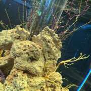 ヒメ日記 2026/04/29 22:52 投稿 みなこ 出会い系人妻ネットワーク さいたま～大宮編