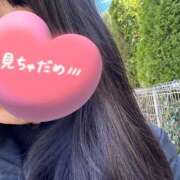 ヒメ日記 2026/03/04 12:14 投稿 みなこ 出会い系人妻ネットワーク 春日部〜岩槻編