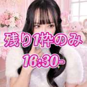 ヒメ日記 2026/04/27 10:21 投稿 うと Versailles