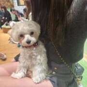 ヒメ日記 2026/03/23 20:31 投稿 ひより かわいい素人女子TOP100(地方出身者編)