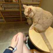 ヒメ日記 2026/04/02 01:41 投稿 ひより かわいい素人女子TOP100(地方出身者編)