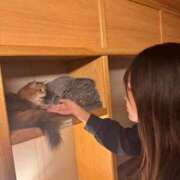 ヒメ日記 2026/04/03 01:21 投稿 ひより かわいい素人女子TOP100(地方出身者編)