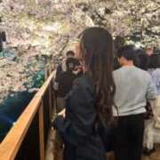 ヒメ日記 2026/04/07 18:41 投稿 ひより かわいい素人女子TOP100(地方出身者編)