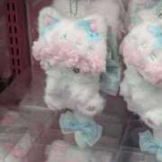 ヒメ日記 2026/03/15 23:21 投稿 ひめ かわいい素人女子TOP100(地方出身者編)