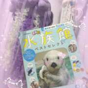 ヒメ日記 2026/03/30 07:28 投稿 らむ ビデオdeはんど 町田校