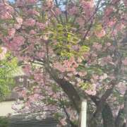 ヒメ日記 2026/04/15 12:06 投稿 しゅる NEW GENERATION