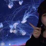 ヒメ日記 2026/05/23 21:03 投稿 しゅる NEW GENERATION