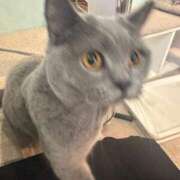 ヒメ日記 2026/04/02 21:41 投稿 みこと ヌーベル・マリエ