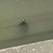 ヒメ日記 2026/04/16 18:57 投稿 みこと ヌーベル・マリエ