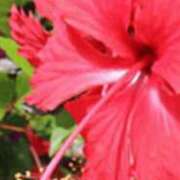 ヒメ日記 2026/03/05 23:53 投稿 ほなみ One More 奥様　西川口店