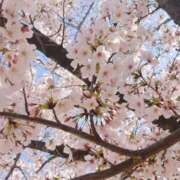 ヒメ日記 2026/04/04 22:13 投稿 ほなみ One More 奥様　西川口店