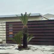 ヒメ日記 2026/03/14 16:12 投稿 まなか フロンティア