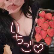 ヒメ日記 2026/03/15 11:03 投稿 まなか フロンティア