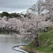 ヒメ日記 2026/04/13 16:12 投稿 まなか フロンティア