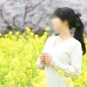 ヒメ日記 2026/04/01 23:30 投稿 七沢ななせ【特S】★驚異リピ率！ PLAY