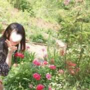 ヒメ日記 2026/03/06 20:57 投稿 葵羽ことり【特A】★癒しの極み！ PLAY