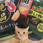 ヒメ日記 2026/03/05 23:29 投稿 ホノカ 川崎美女革命