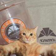 ヒメ日記 2026/03/23 18:23 投稿 ホノカ 川崎美女革命