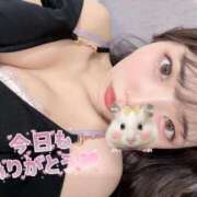 ヒメ日記 2026/03/24 00:03 投稿 ホノカ 川崎美女革命