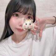 ヒメ日記 2026/04/09 21:43 投稿 ホノカ 川崎美女革命