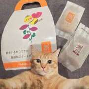 ヒメ日記 2026/04/10 12:43 投稿 ホノカ 川崎美女革命