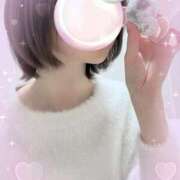 ヒメ日記 2026/03/27 02:11 投稿 菅沼 美嘉 横浜貴楼館