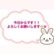 ヒメ日記 2026/03/04 12:06 投稿 りな ぽっちゃりプリンセス