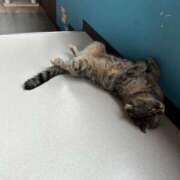 ヒメ日記 2026/03/20 17:03 投稿 すずね 沖縄素人図鑑