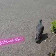 黒崎 お散歩🐦 熟女の風俗最終章　鶯谷店