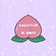 ヒメ日記 2026/03/14 08:06 投稿 桃 変態プレイ専門店 マニアック女人館 本館