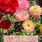 ヒメ日記 2026/03/19 09:46 投稿 桃 変態プレイ専門店 マニアック女人館 本館