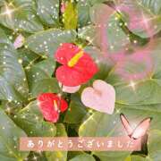 ヒメ日記 2026/03/22 05:09 投稿 桃 変態プレイ専門店 マニアック女人館 本館