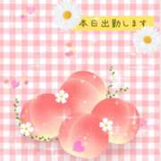 ヒメ日記 2026/03/22 08:12 投稿 桃 変態プレイ専門店 マニアック女人館 本館