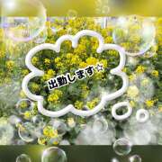 ヒメ日記 2026/04/01 14:36 投稿 桃 変態プレイ専門店 マニアック女人館 本館