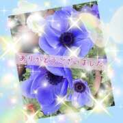 ヒメ日記 2026/04/02 13:34 投稿 桃 変態プレイ専門店 マニアック女人館 本館