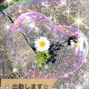 ヒメ日記 2026/04/03 15:29 投稿 桃 変態プレイ専門店 マニアック女人館 本館