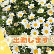 ヒメ日記 2026/04/08 14:56 投稿 桃 変態プレイ専門店 マニアック女人館 本館